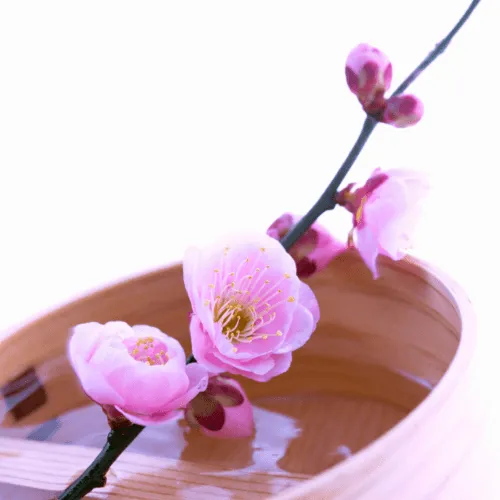 立春の祝い方