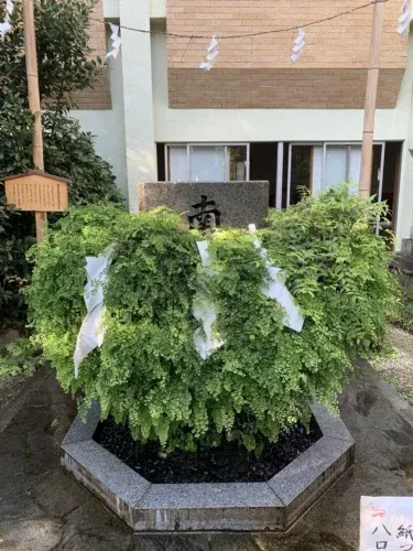 神社神道と教派神道