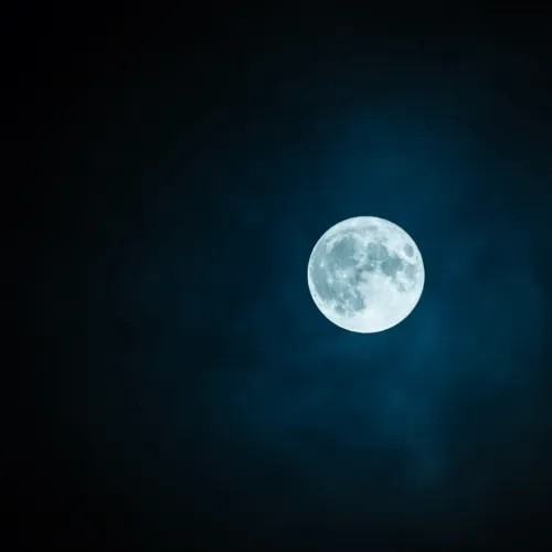 月に願いを～十五夜お月さま