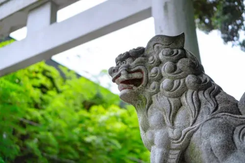 神社の信仰形態